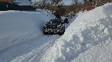 20260222_113001.jpg