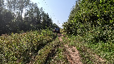 Трофи-лайф фото 4х4 Корпаративный Джип-тур в Яхроме 17.08.2024 - (46).png