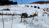 Трофи-лайф фото 4х4 покатушка Рогачёвские Сокровища 12.04.2025 - (56).jpg