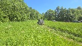 20260606_143111.jpg