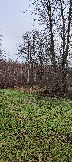 IMG_20231104_104352.jpg