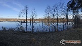 Фото Трофи-лайф 4х4 экспедиция-покатушка Восточная Сказка 7-9.03.20 -1.jpg