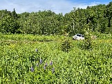 IMG_8804.JPG