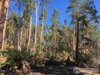 Фото Трофи-лайф 4х4 покатушка-экспедиция Рязанская Мещера 21-24.08.20 -91.JPG