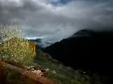 IMG_8650.JPEG