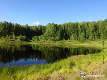 Фото Трофи-лайф 4х4 покатушка-экспедиция Рязанская Мещера 21-24.08.20 -25.JPG