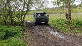 Трофи-лайф фото 4х4 покатушка В гости к зубрам 10.05.2024 -  (79).png
