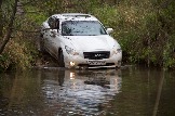 IMG_8877.jpeg