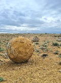 Трофи-лайф Экспедиция Казахстан Май 2024 (148).jpg