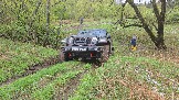 20250502_155224.jpg