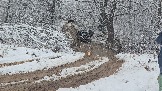 20251115_124040.jpg