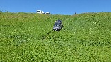 20260606_132540.jpg
