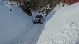 20260222_113145.jpg