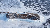 DJI_0575.JPG