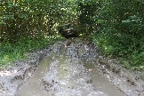 LKV_8841.JPG