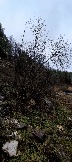 IMG_20231105_112232.jpg