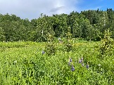 IMG_8780.JPG