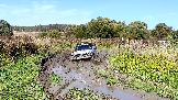 Трофи-лайф фото 4х4 покатушка Старокалужский Тракт 14.09.2024 -  (30).png
