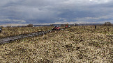 Трофи-лайф фото 4х4 покатушка Ступинский Крюк 18.04.2026 - 26.jpg
