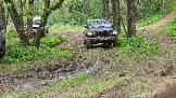 20250518_131917.jpg