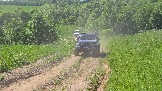 20260606_143922.jpg