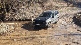 20250308_114832.jpg