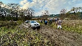 IMG_7575.jpg