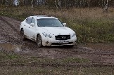 IMG_8595.jpeg