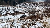 Трофи-лайф фото 4х4 покатушка Рогачевские Сокровища  08.02.2025 - (52).jpg