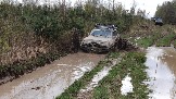 20250426_121226.jpg