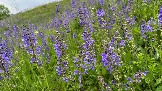 IMG_0886.jpg
