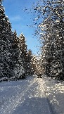 IMG_3216.JPG