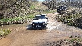 20250420_121206.jpg