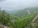 IMG_8505.JPEG
