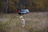 IMG_8149.jpeg