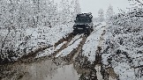 20251115_113109.jpg