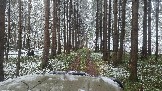 20251115_115257.jpg