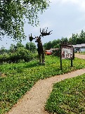 IMG_20260613_135935_242.jpg
