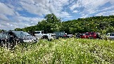 IMG_1153.jpg