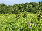 IMG_8758.JPG