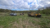 20250508_170130.jpg