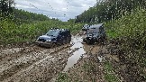20260510_141604.jpg