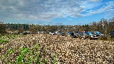 IMG_7567.jpg