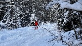 IMG_3249.JPG