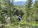 IMG_9317.jpeg