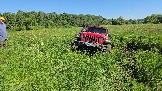 20260606_152451.jpg