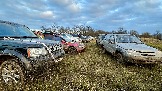 IMG_7629.jpg