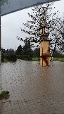 20231106_091924.jpg