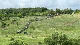 IMG_1275.jpg