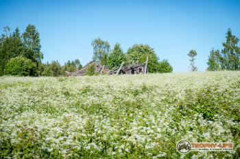 _DSC7878.jpg